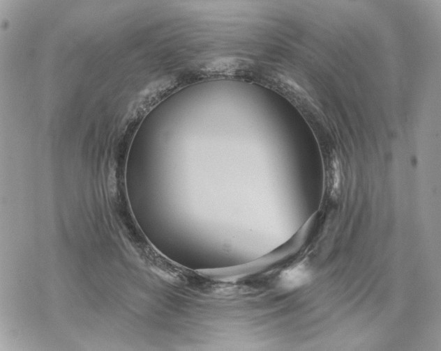 X0000070360504200606161255