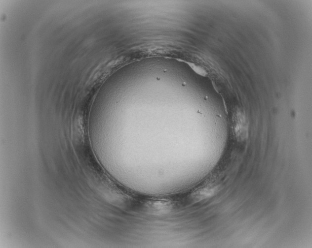 X0000070360506200606161255