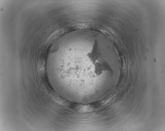 X0000070360507200606161255