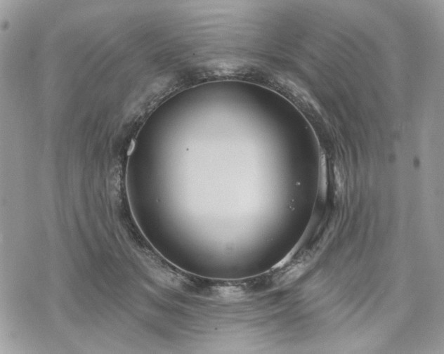 X0000070360509200606161255