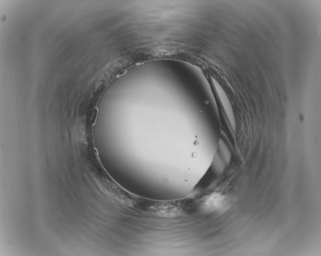 X0000070360512200606161255