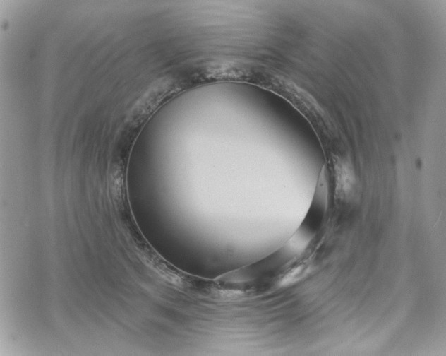 X0000070360513200606161255