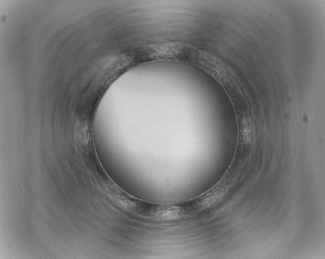 X0000070360514200606161255