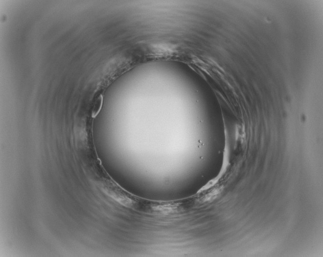 X0000070360516200606161255