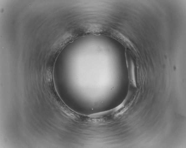 X0000070360517200606161255