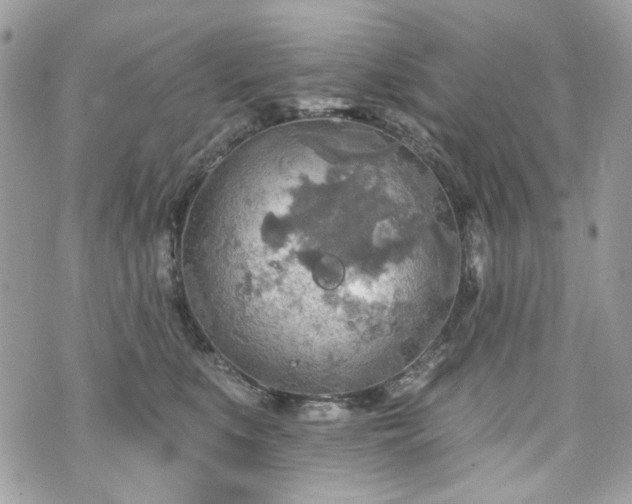 X0000070360519200606161255