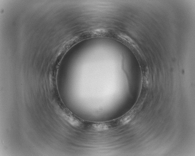 X0000070360520200606161255