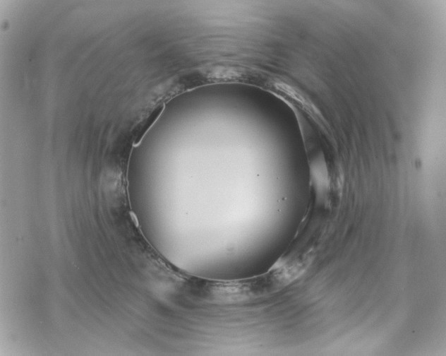 X0000070360521200606161255