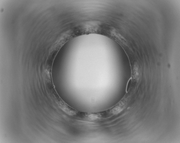 X0000070360522200606161255