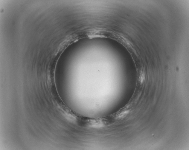 X0000070360524200606161255