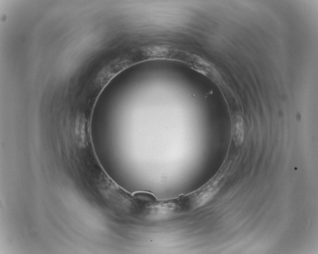 X0000070360525200606161255