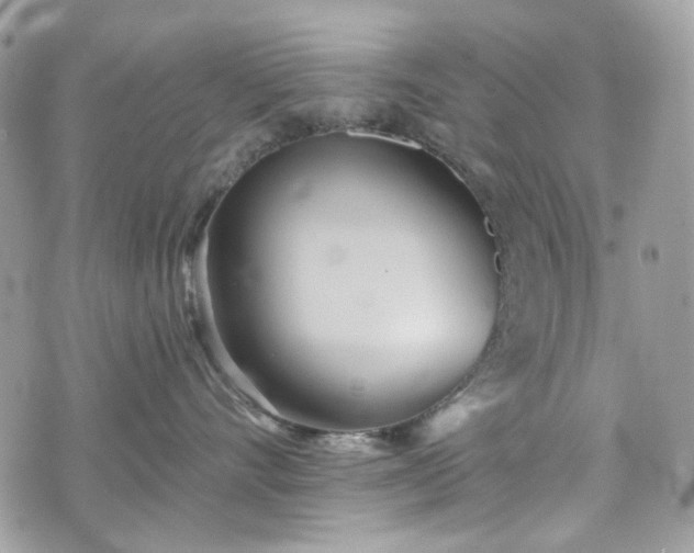 X0000070360528200606161255