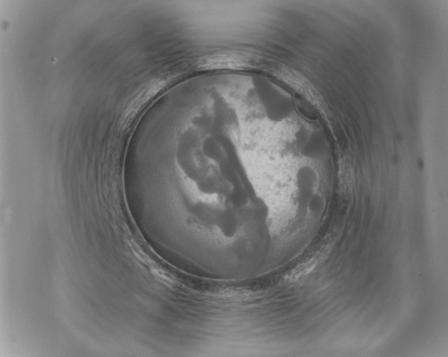 X0000070360529200606161254