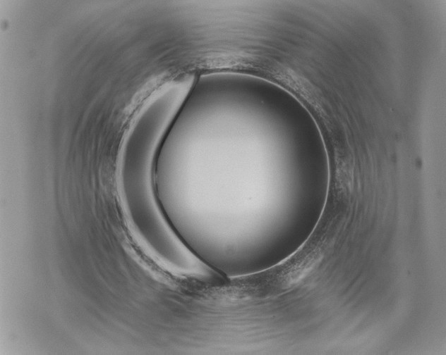 X0000070360530200606161254