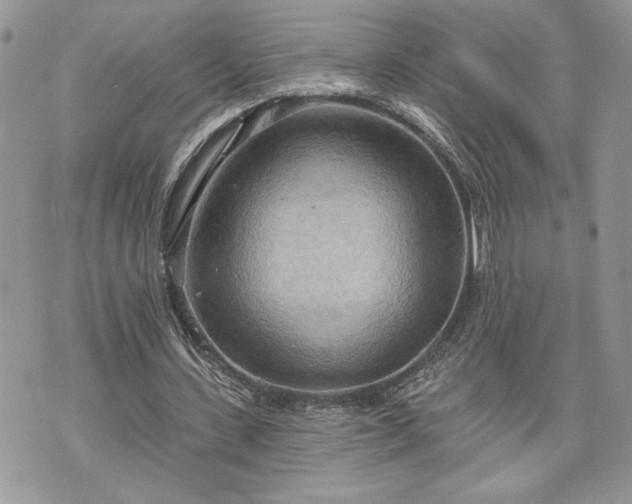 X0000070360531200606161254