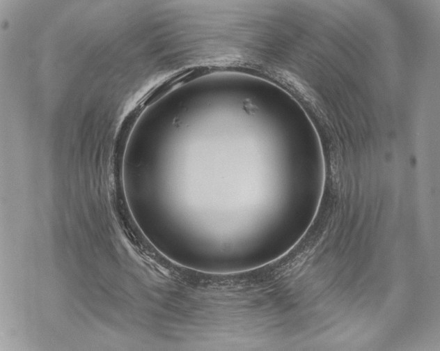 X0000070360532200606161254