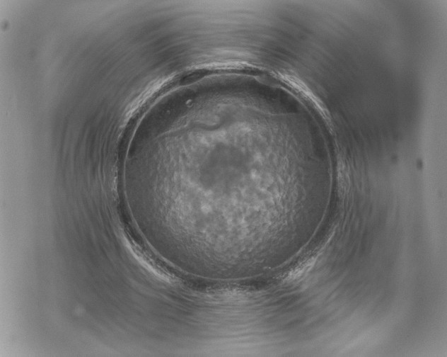 X0000070360533200606161254