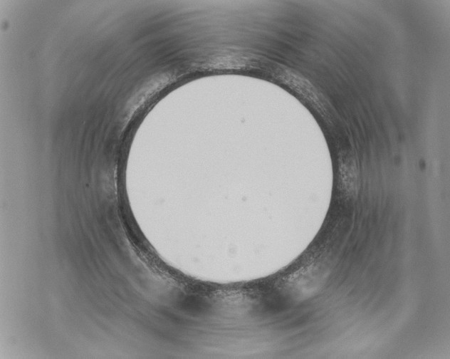 X0000070360534200606161254