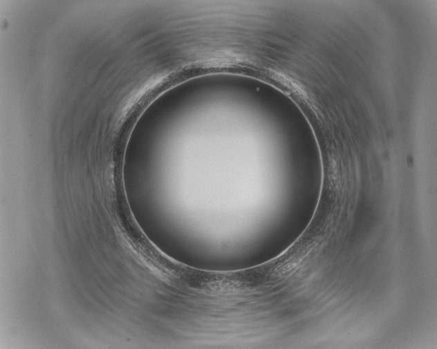 X0000070360535200606161254