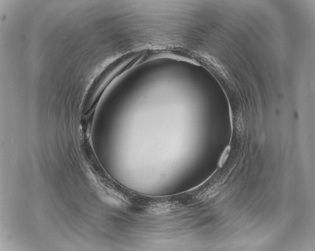 X0000070360540200606161254