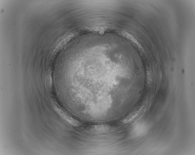 X0000070360541200606161254