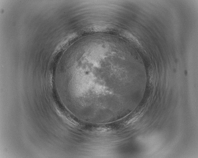 X0000070360542200606161254