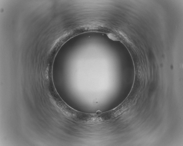 X0000070360543200606161254