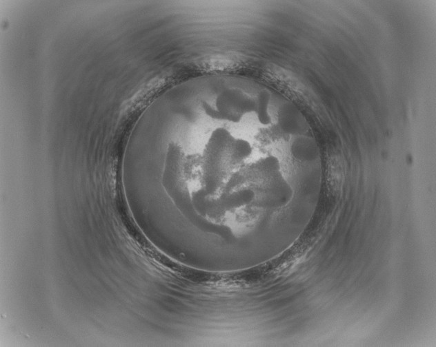 X0000070360545200606161254