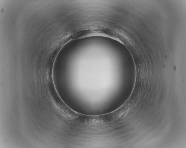 X0000070360546200606161254