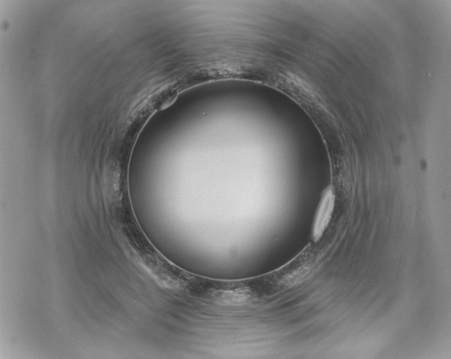 X0000070360548200606161254