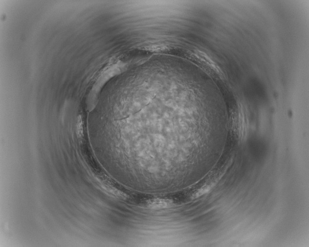 X0000070360549200606161254