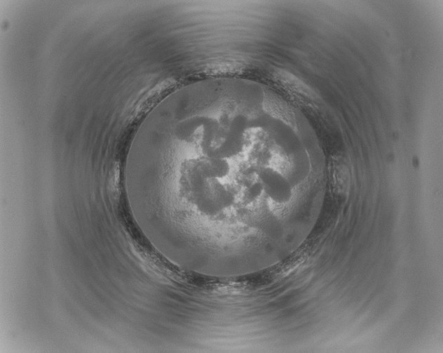 X0000070360550200606161254