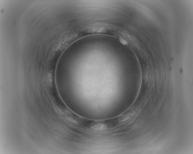 X0000070360551200606161254