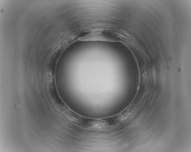 X0000070360555200606161254