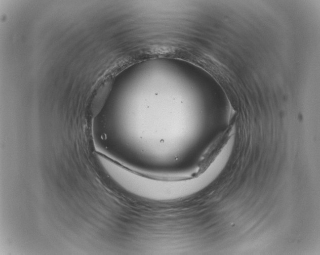 X0000070360556200606161254