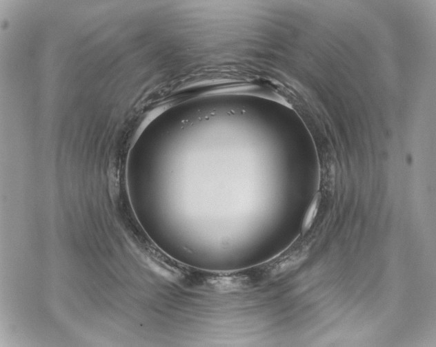 X0000070360558200606161254