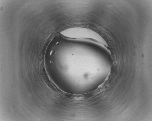 X0000070360560200606161254