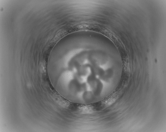 X0000070360561200606161254