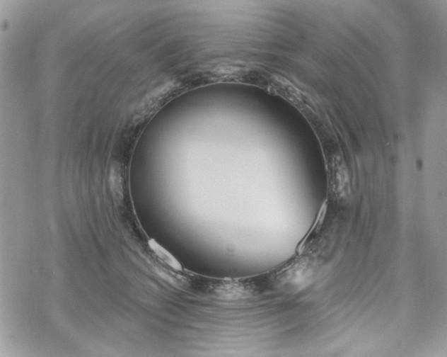 X0000070360562200606161254