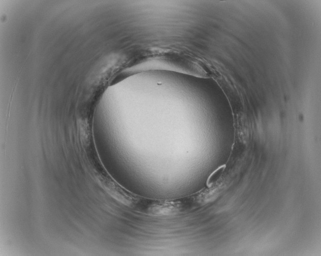 X0000070360563200606161254