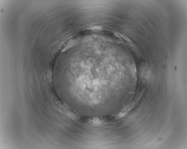 X0000070360565200606161254