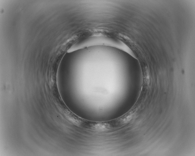 X0000070360566200606161254