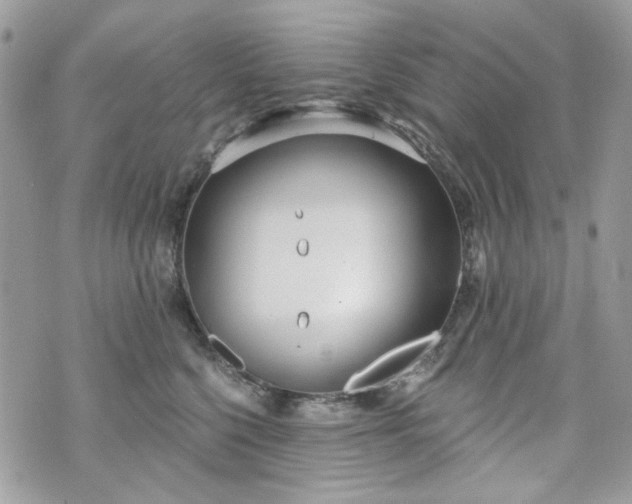 X0000070360568200606161254