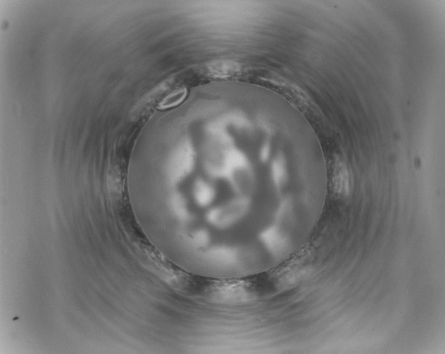 X0000070360569200606161254