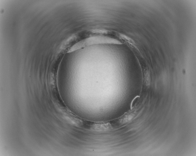 X0000070360571200606161254