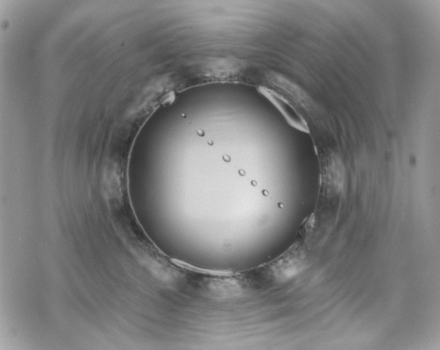 X0000070360572200606161255