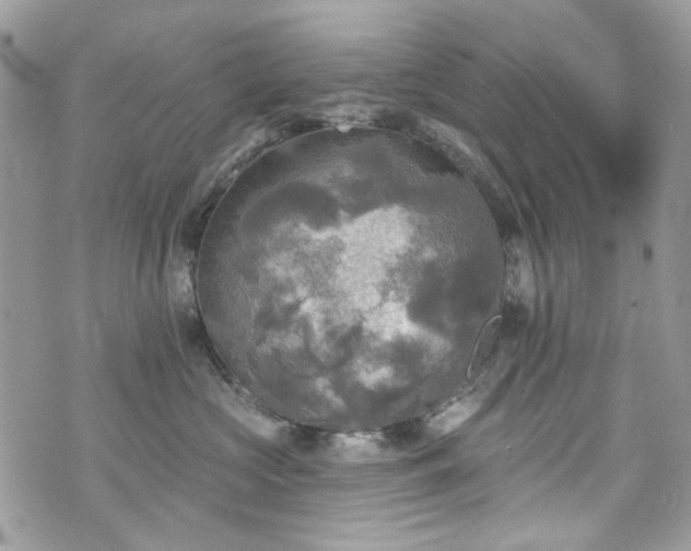 X0000070360573200606161255