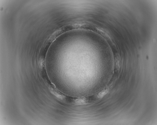 X0000070360574200606161255