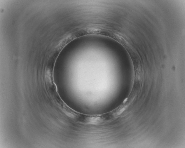 X0000070360575200606161255