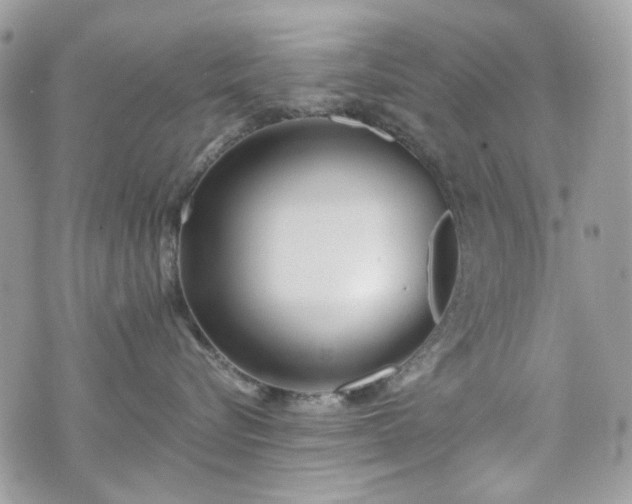 X0000070360576200606161255